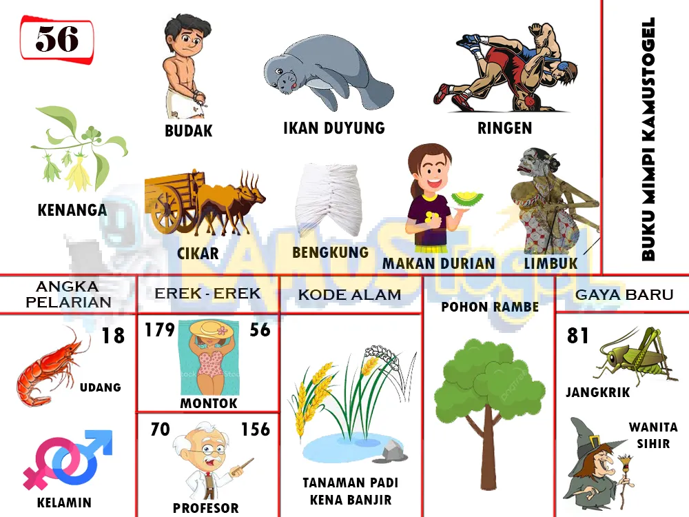 buku mimpi erek erek togel 56